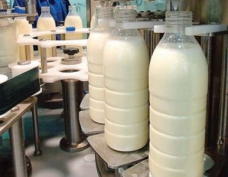 ХАССП на молочном производстве